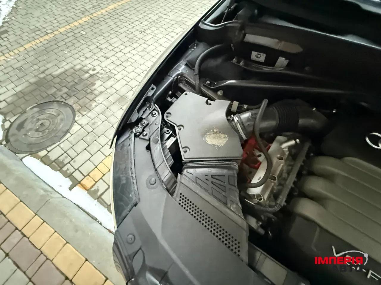 Audi Q5 - фото 81