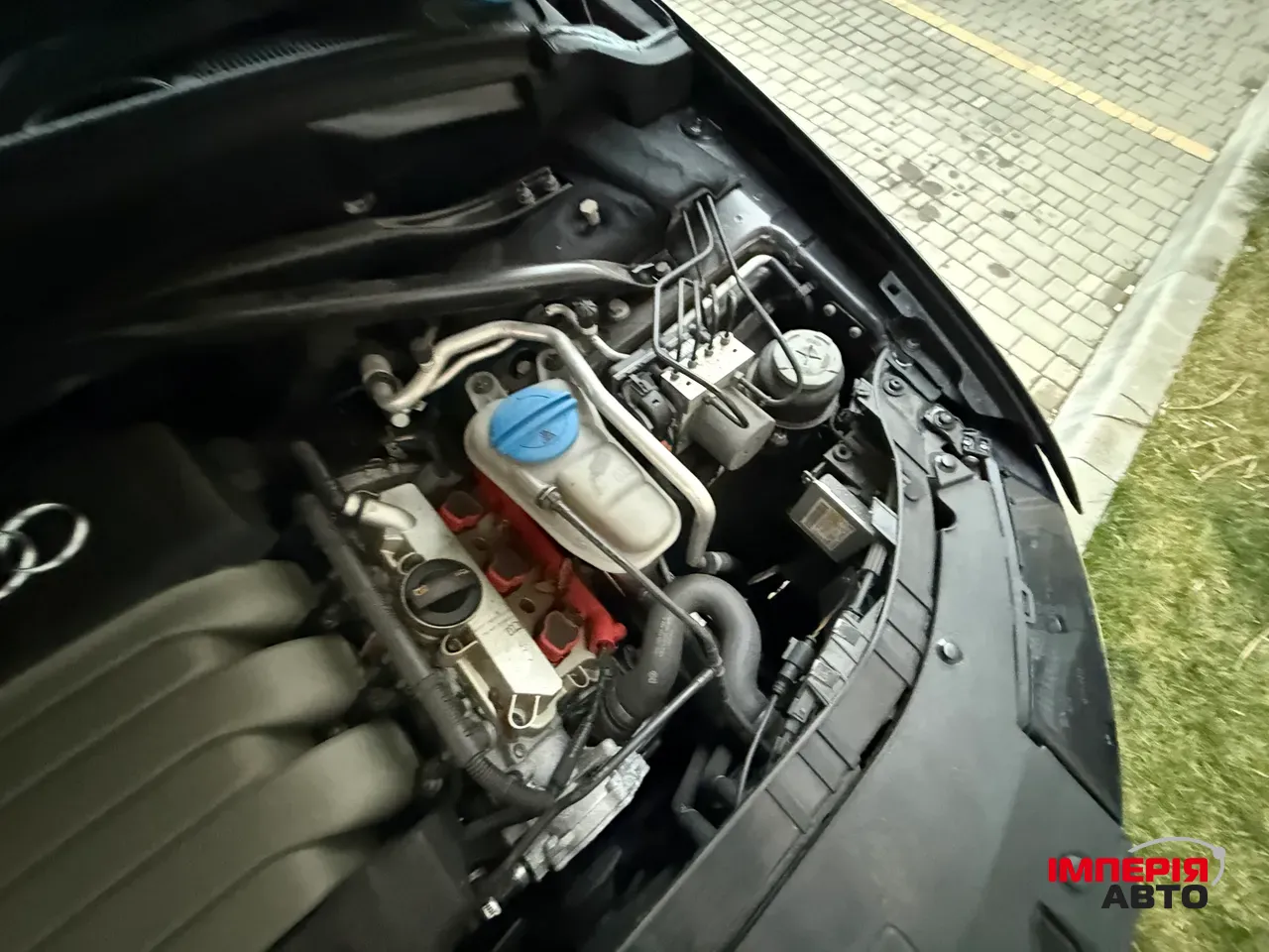 Audi Q5 - фото 78