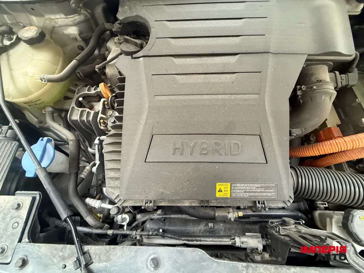 Kia Niro - фото 63