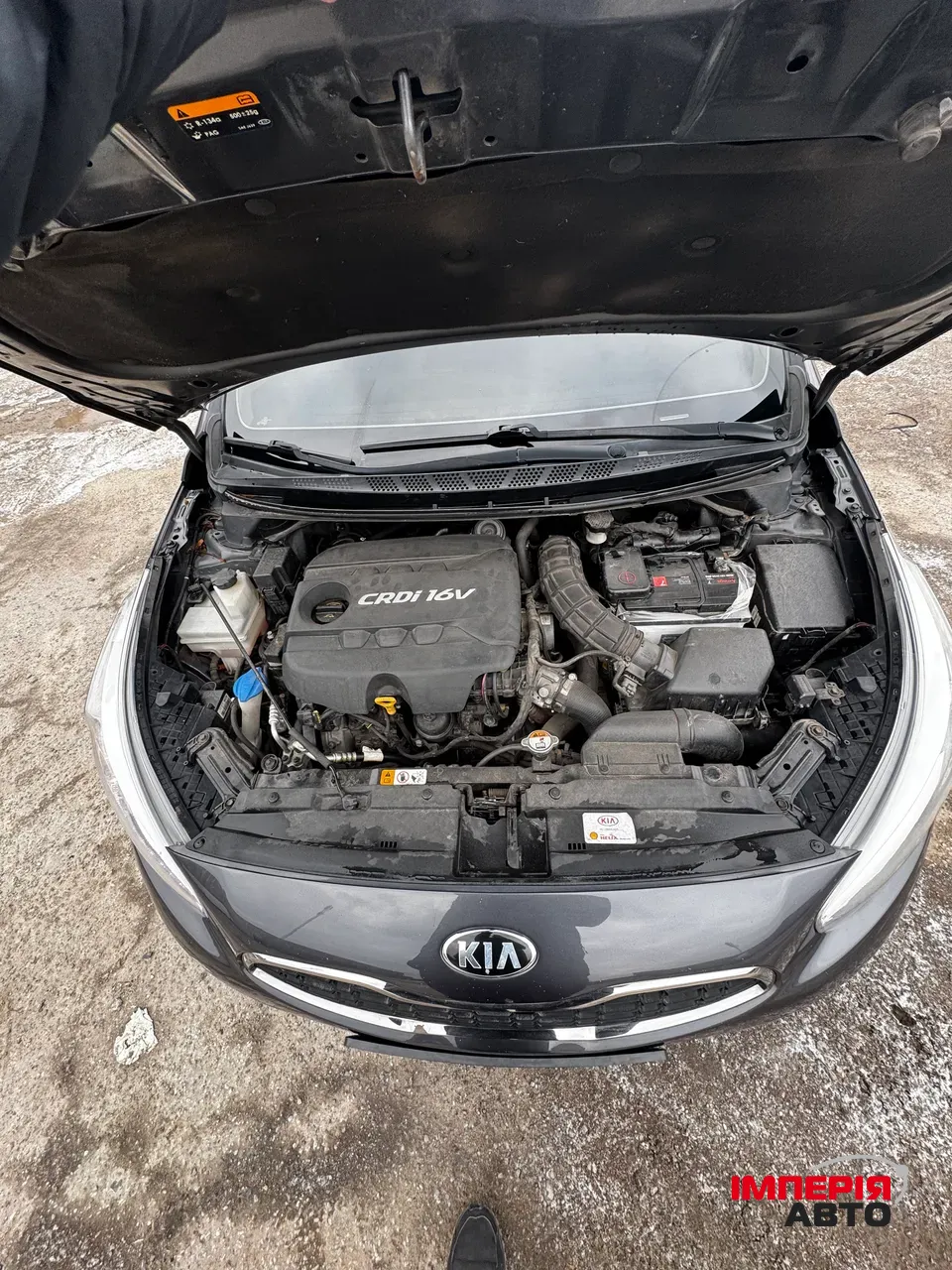 Kia Ceed - фото 9