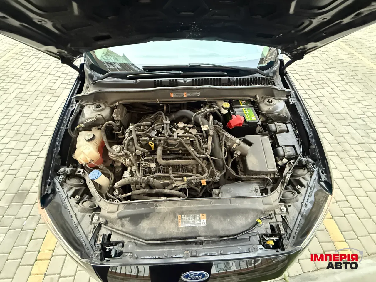 Ford Fusion (North America) - фото 77