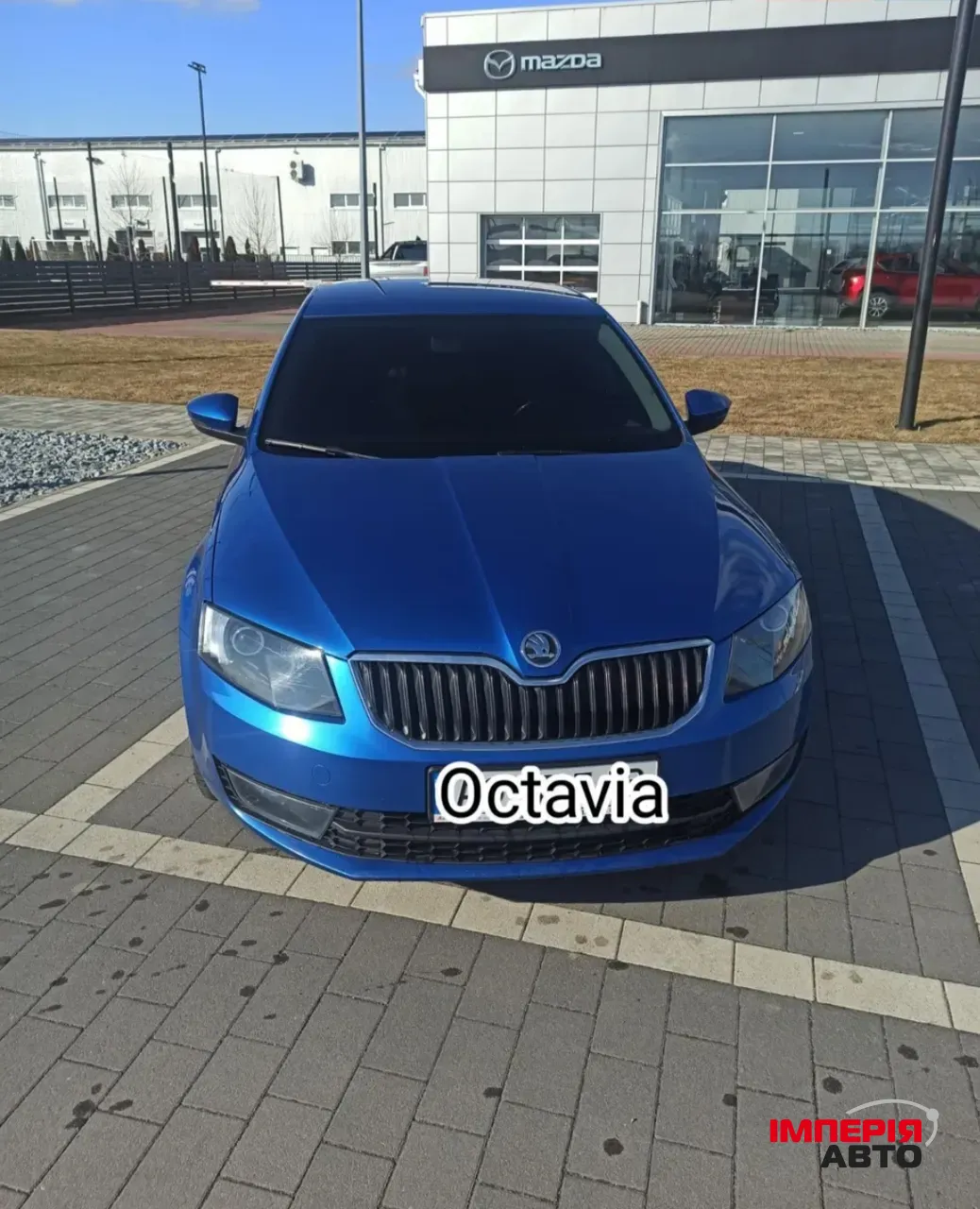 Skoda Octavia - фото 1