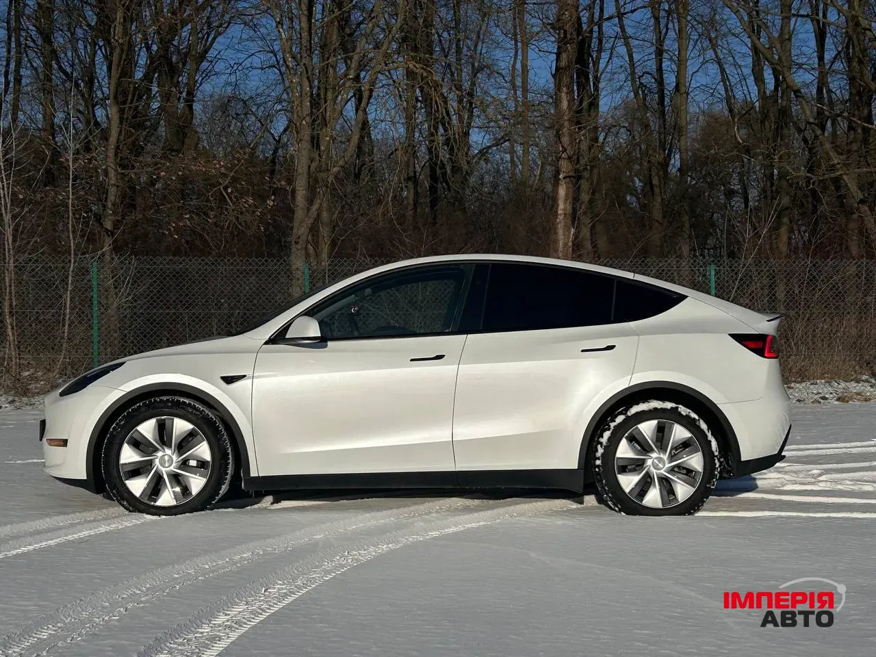 Tesla Model Y - фото 4