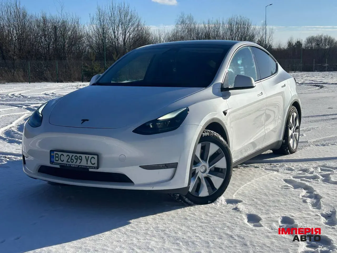 Tesla Model Y - фото 1