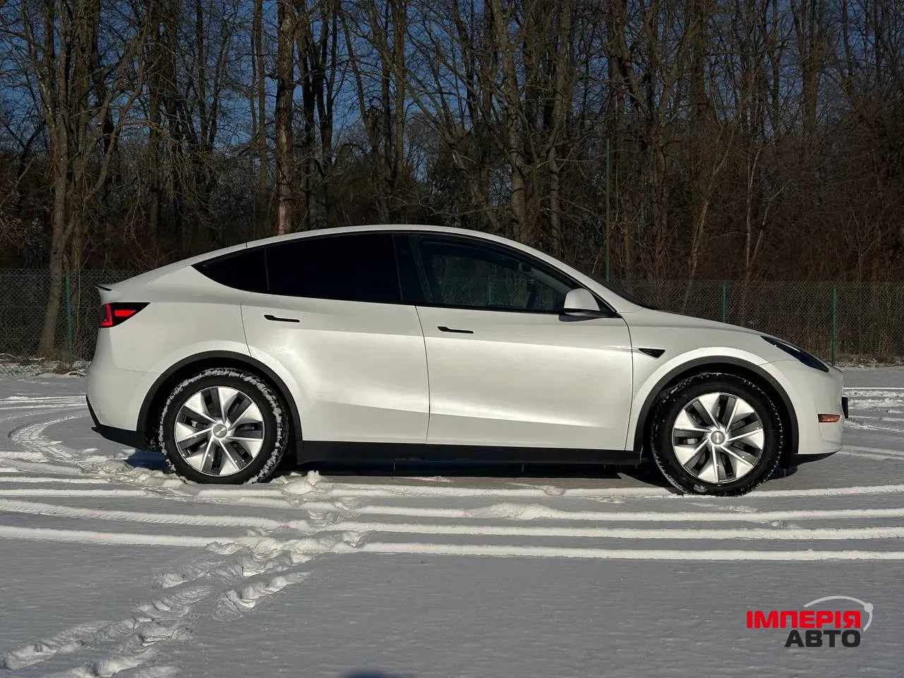 Tesla Model Y - фото 3
