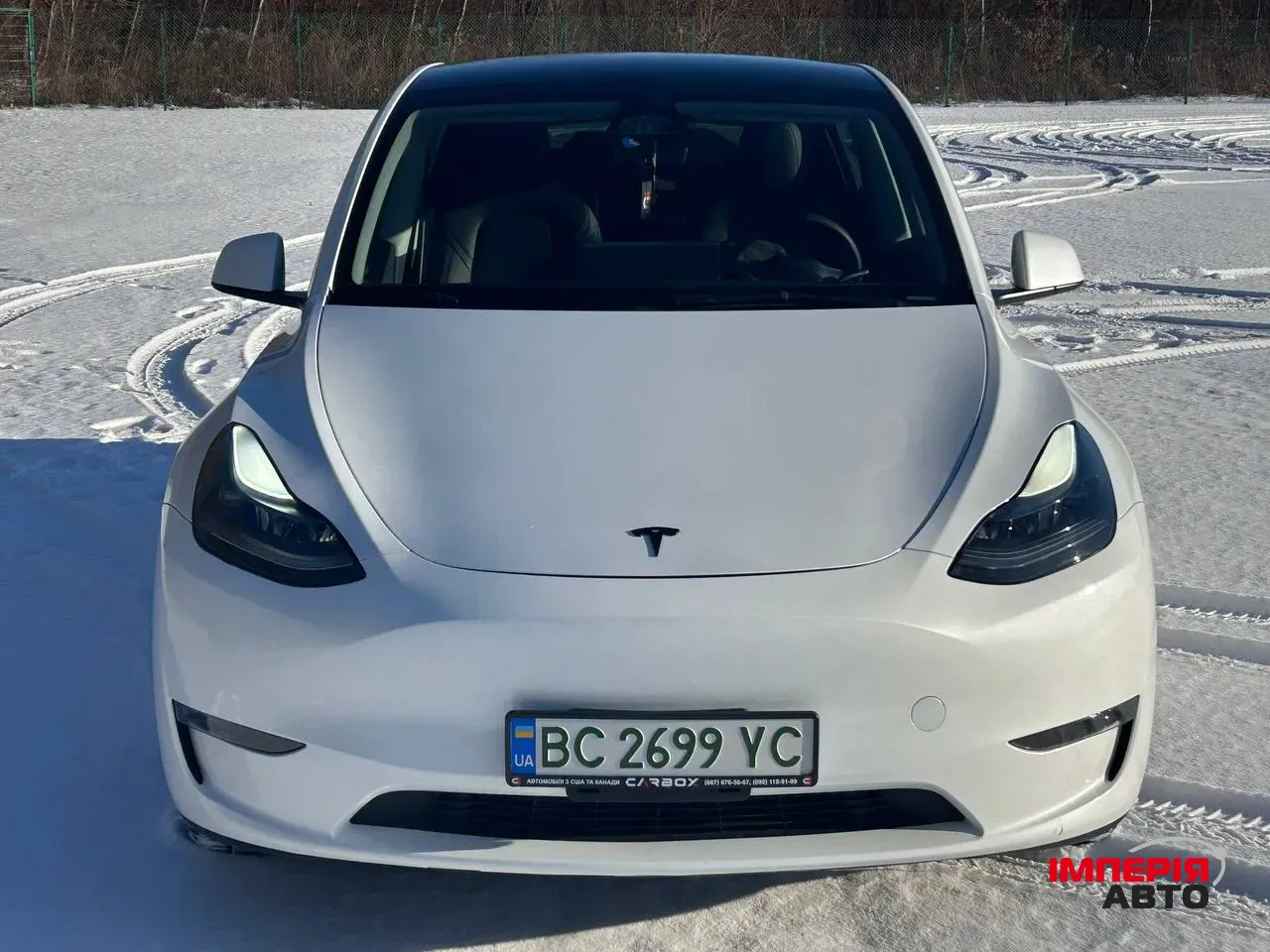 Tesla Model Y - фото 2
