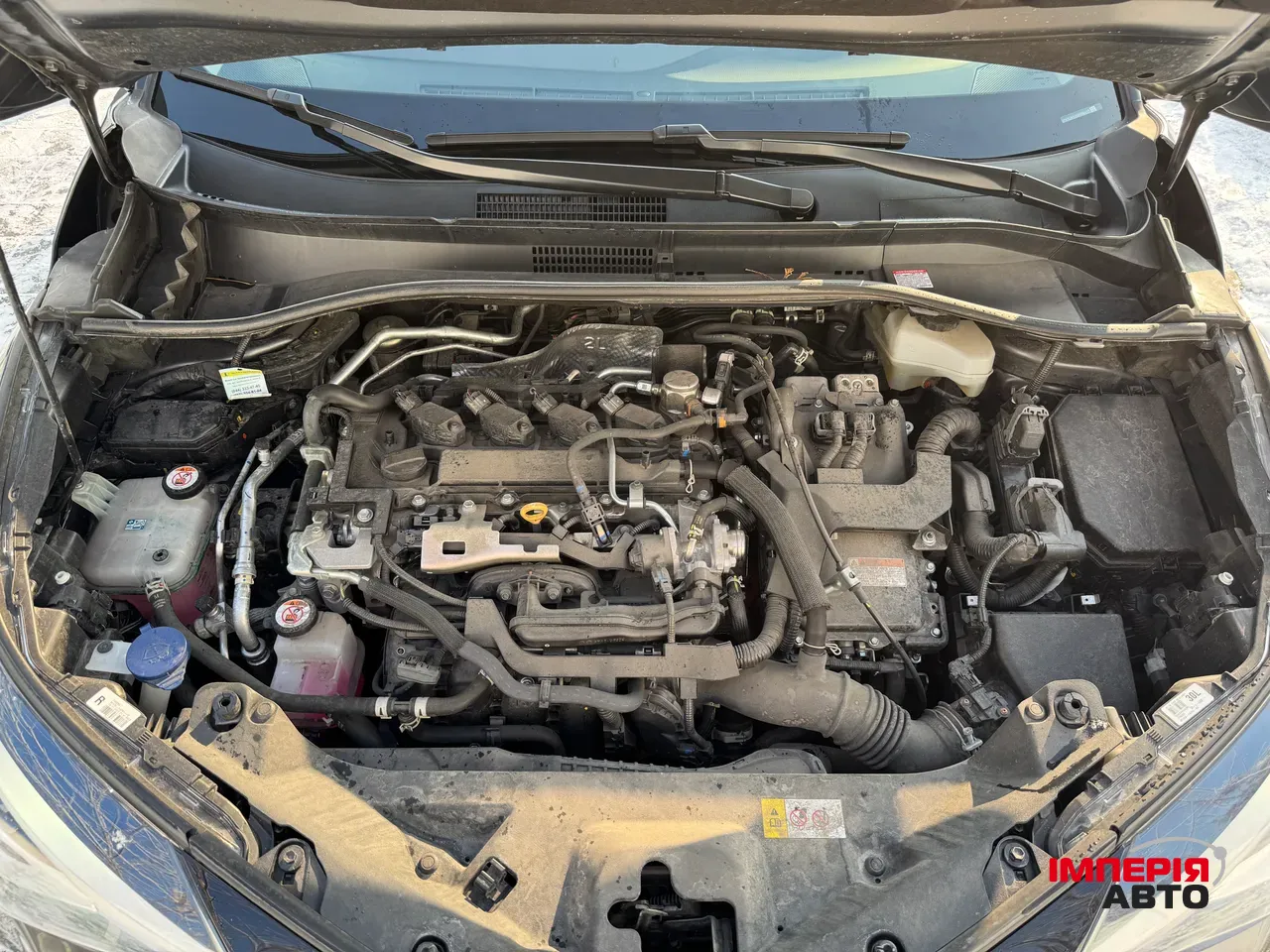 Toyota C-HR - фото 17