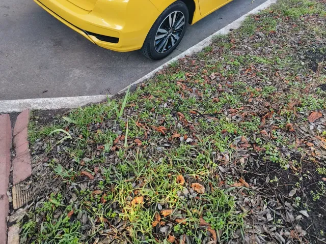 Honda Fit - фото 4