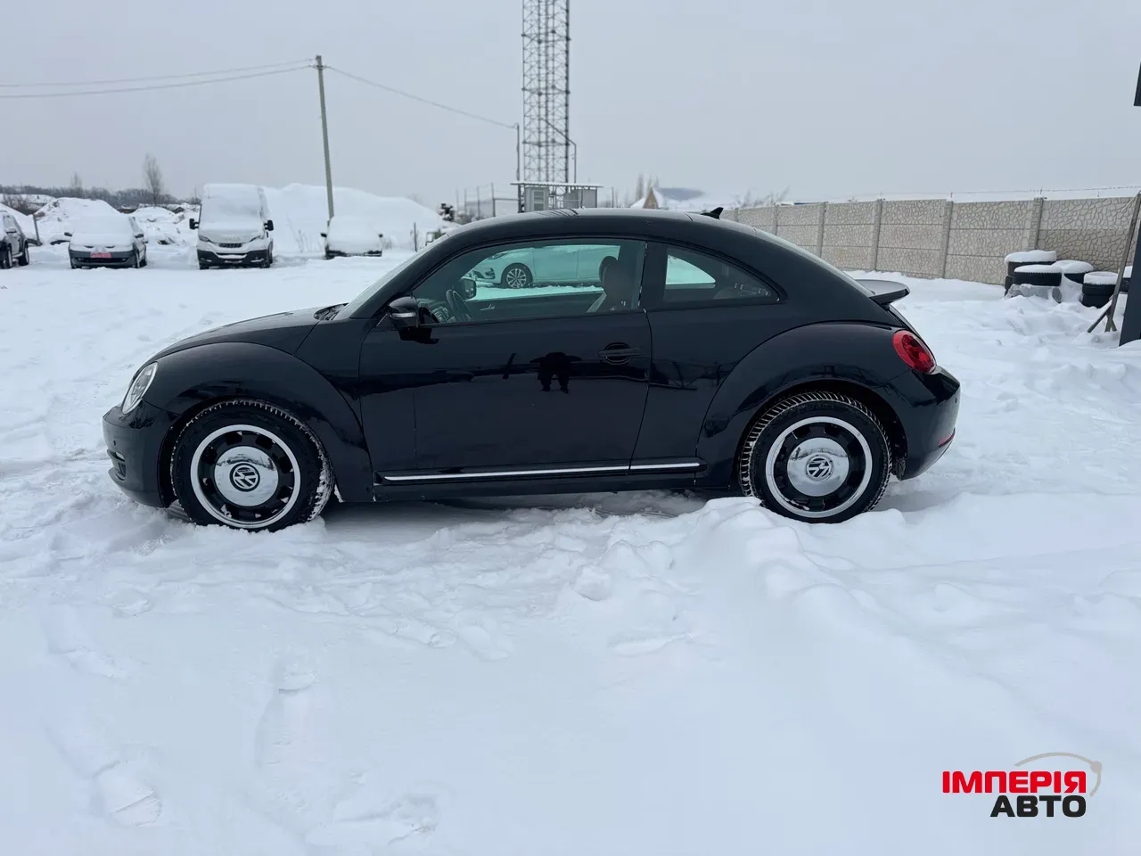 Volkswagen Beetle - фото 10