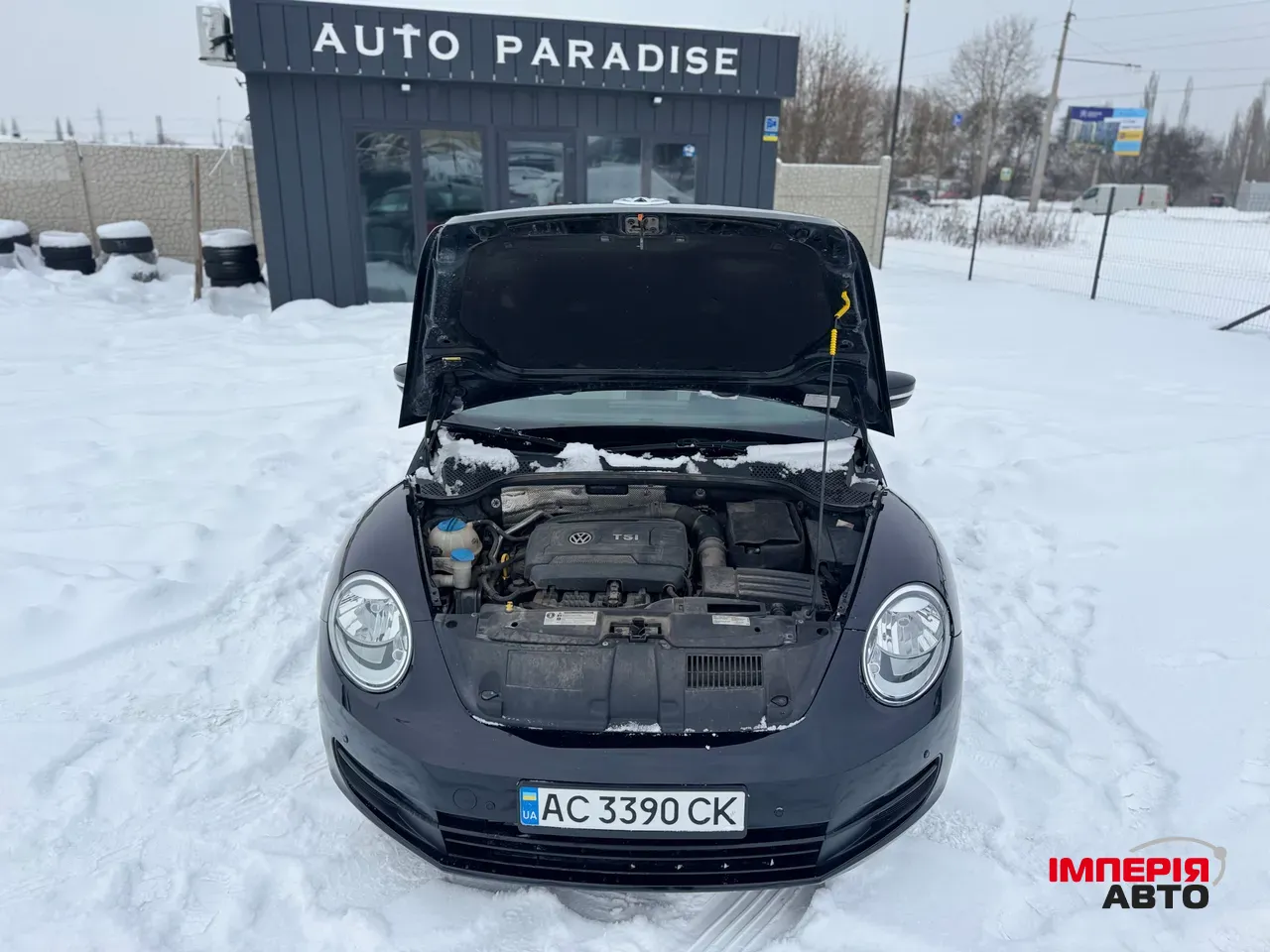 Volkswagen Beetle - фото 16