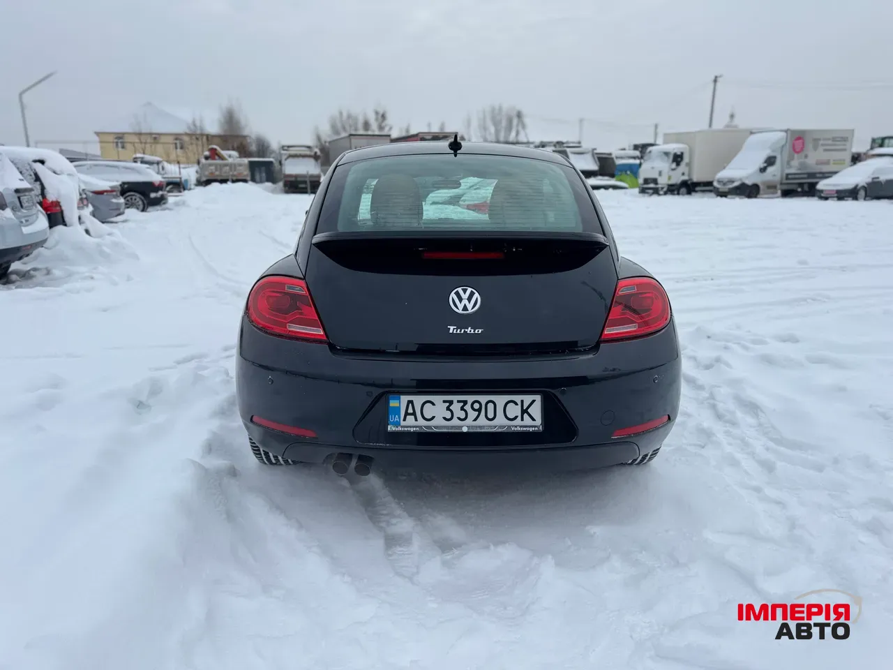 Volkswagen Beetle - фото 6