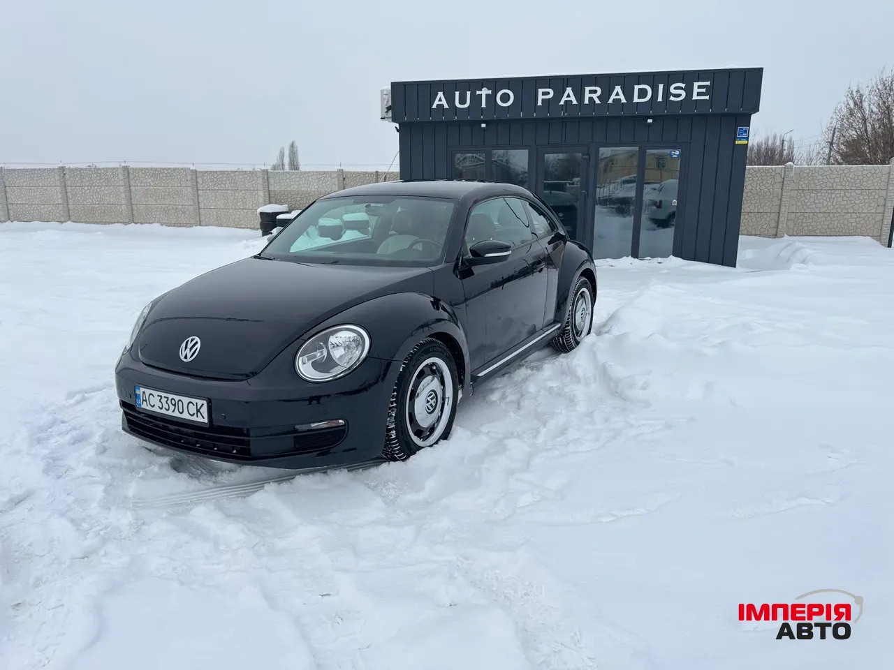 Volkswagen Beetle - фото 1