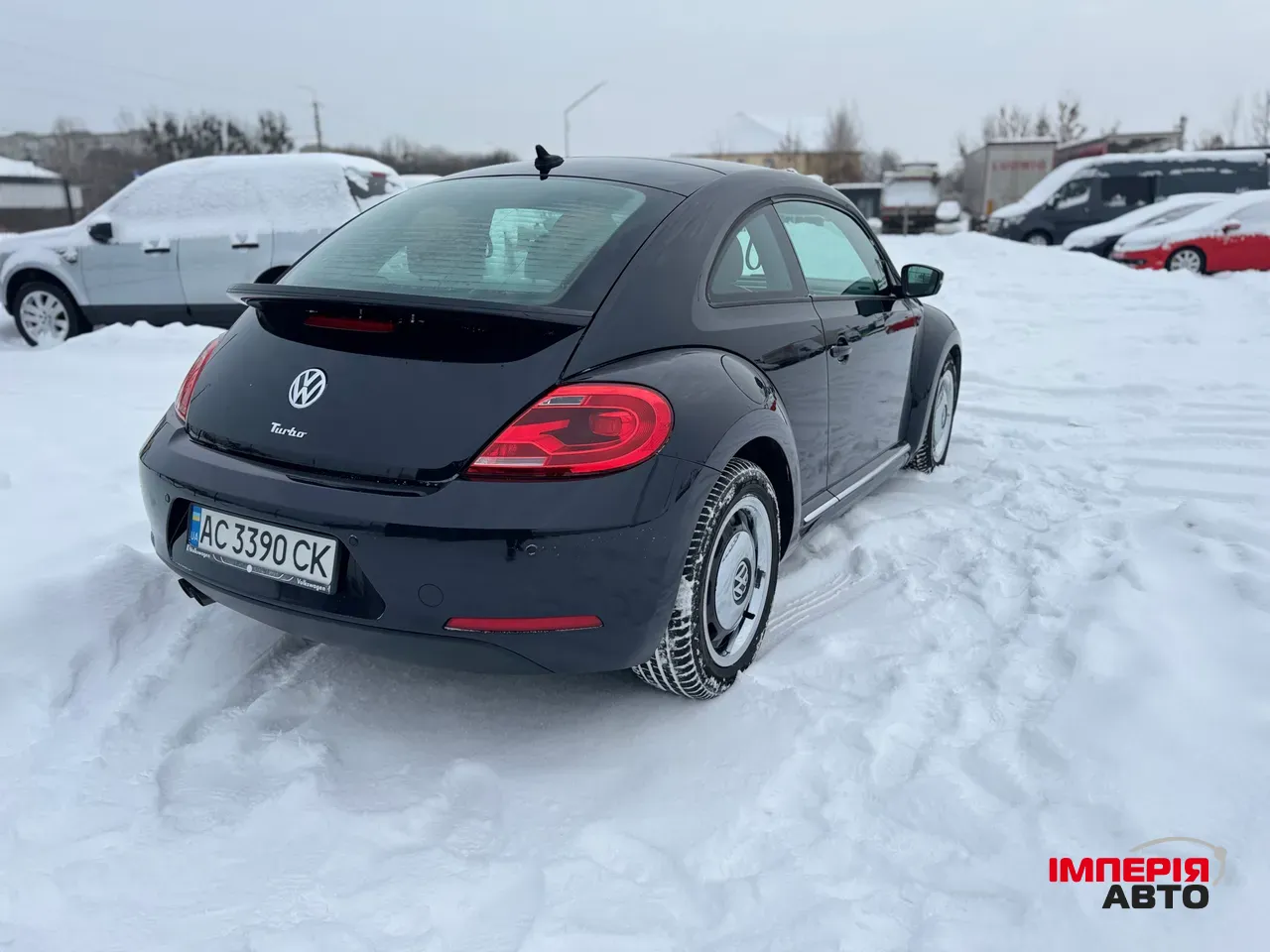 Volkswagen Beetle - фото 5