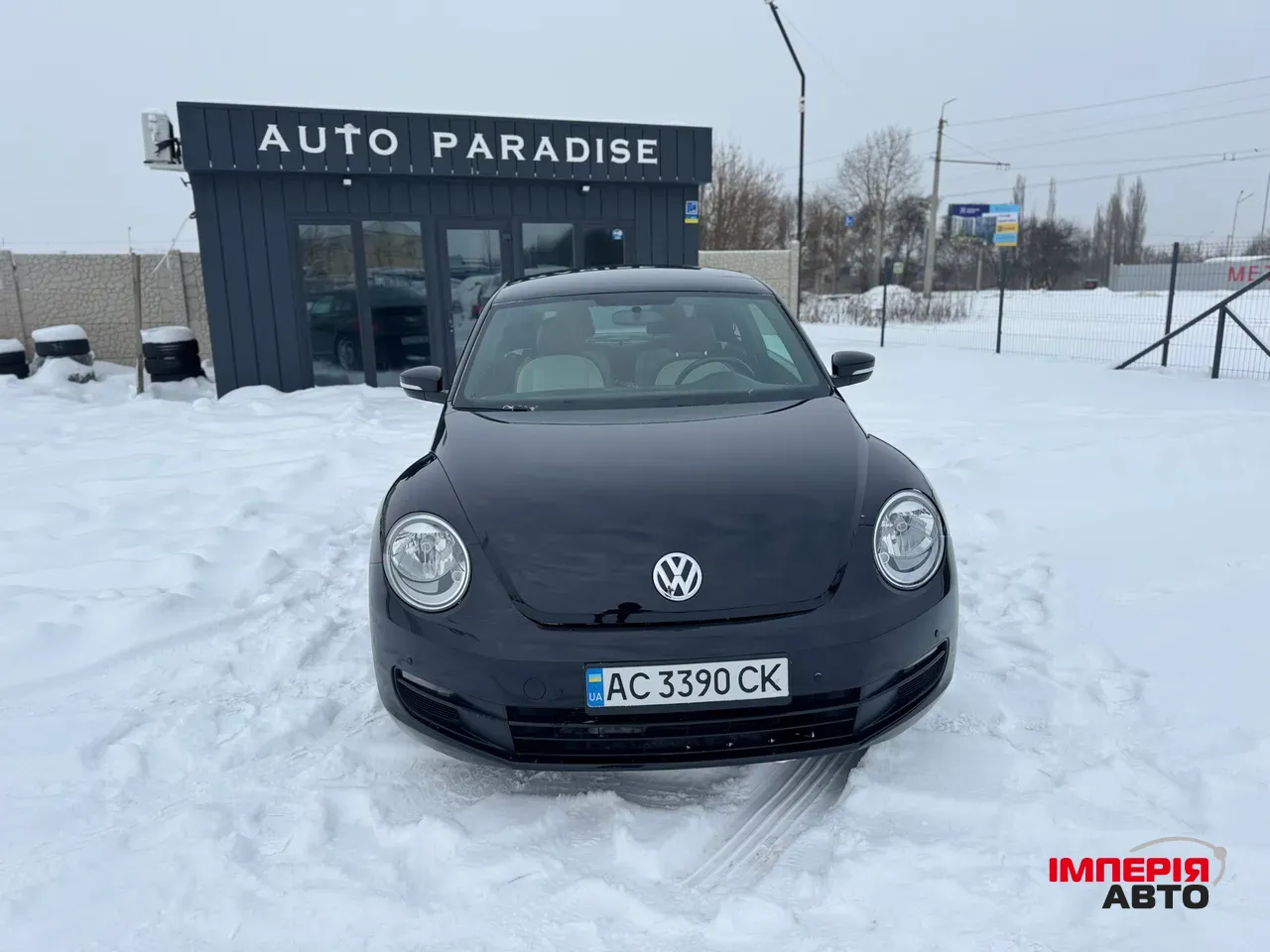 Volkswagen Beetle - фото 2