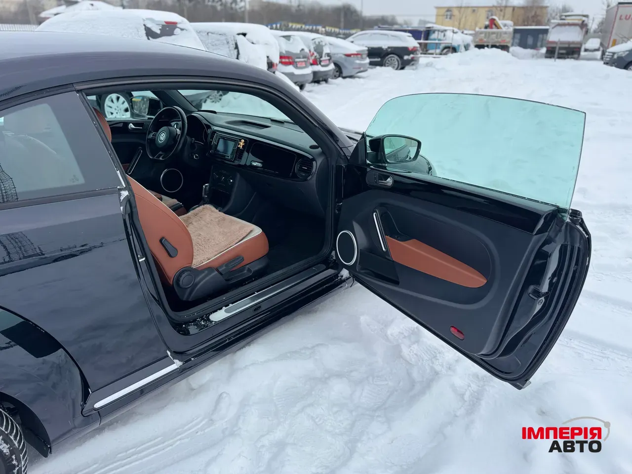 Volkswagen Beetle - фото 17