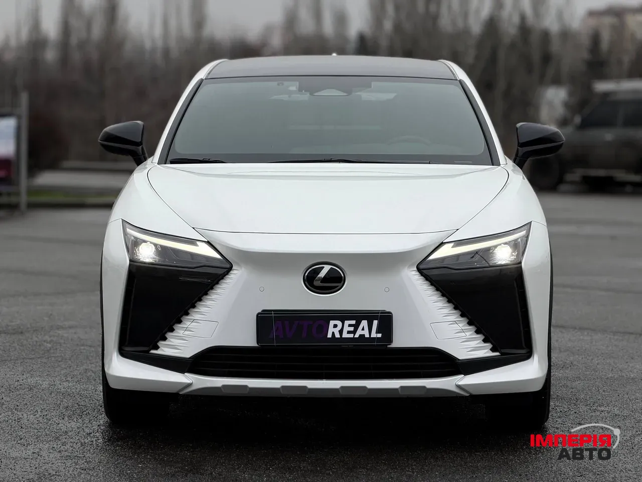 Lexus RZ - фото 13