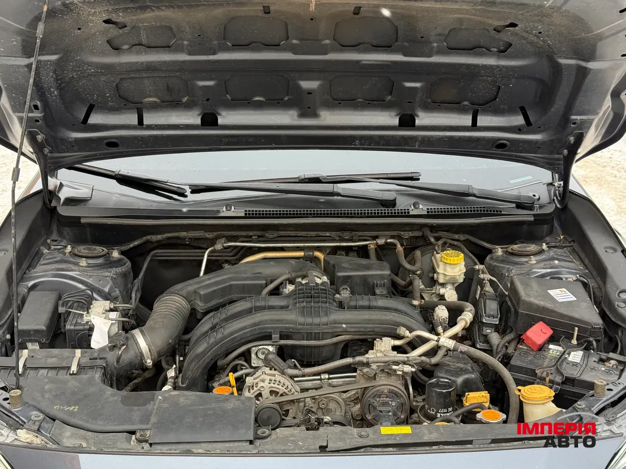 Subaru Impreza - фото 11