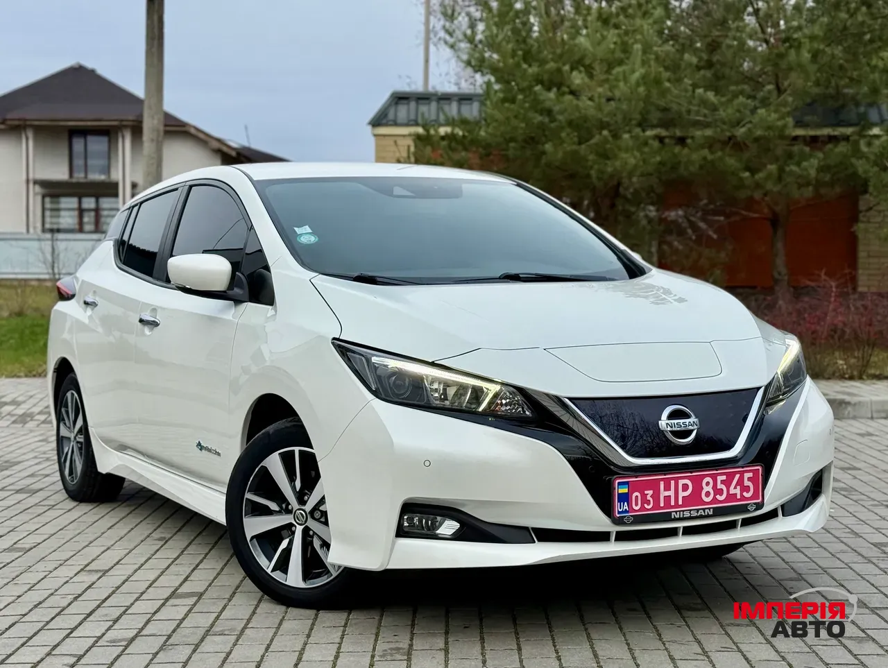 Nissan Leaf - фото 1