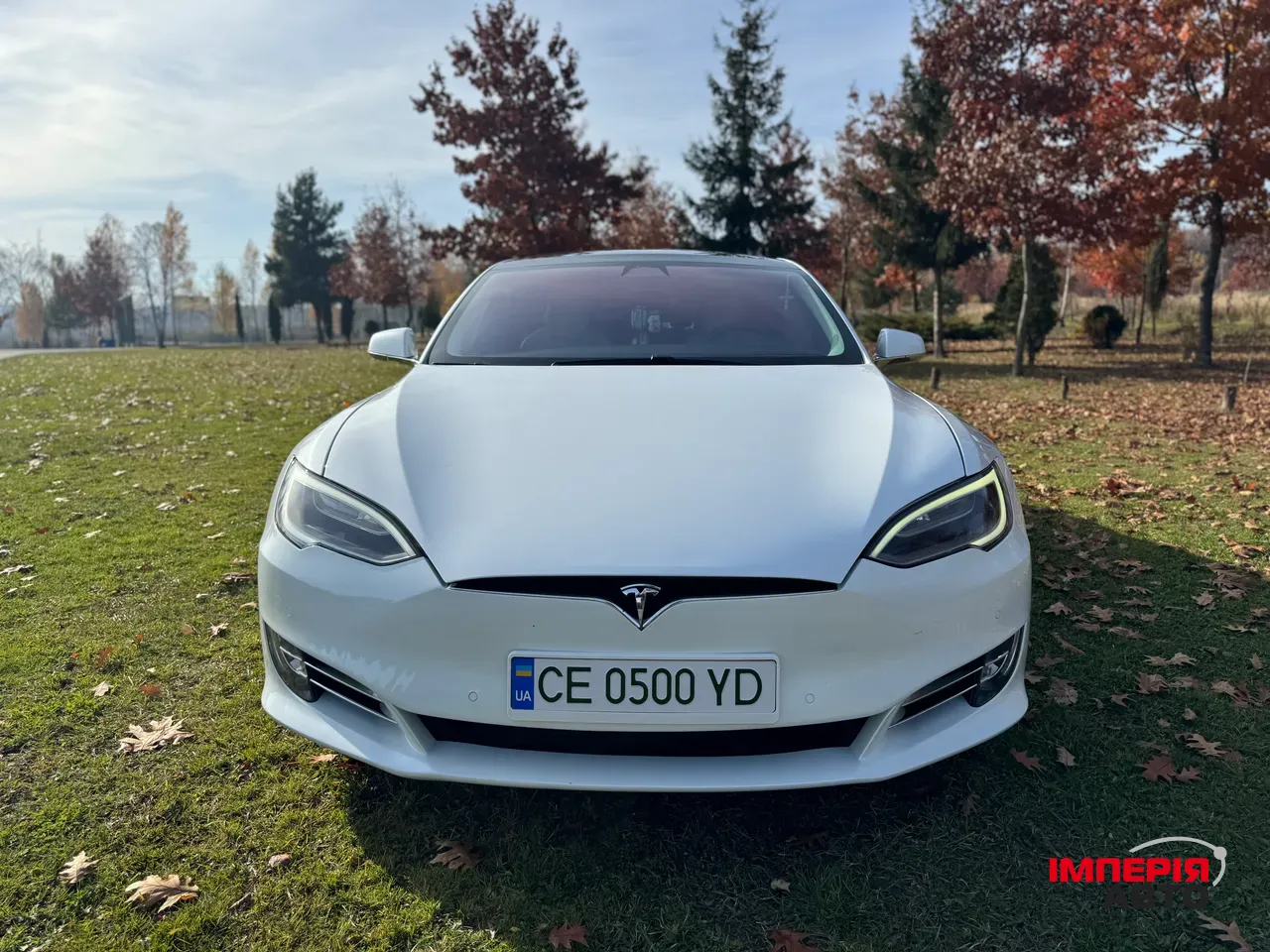 Tesla Model S - фото 4