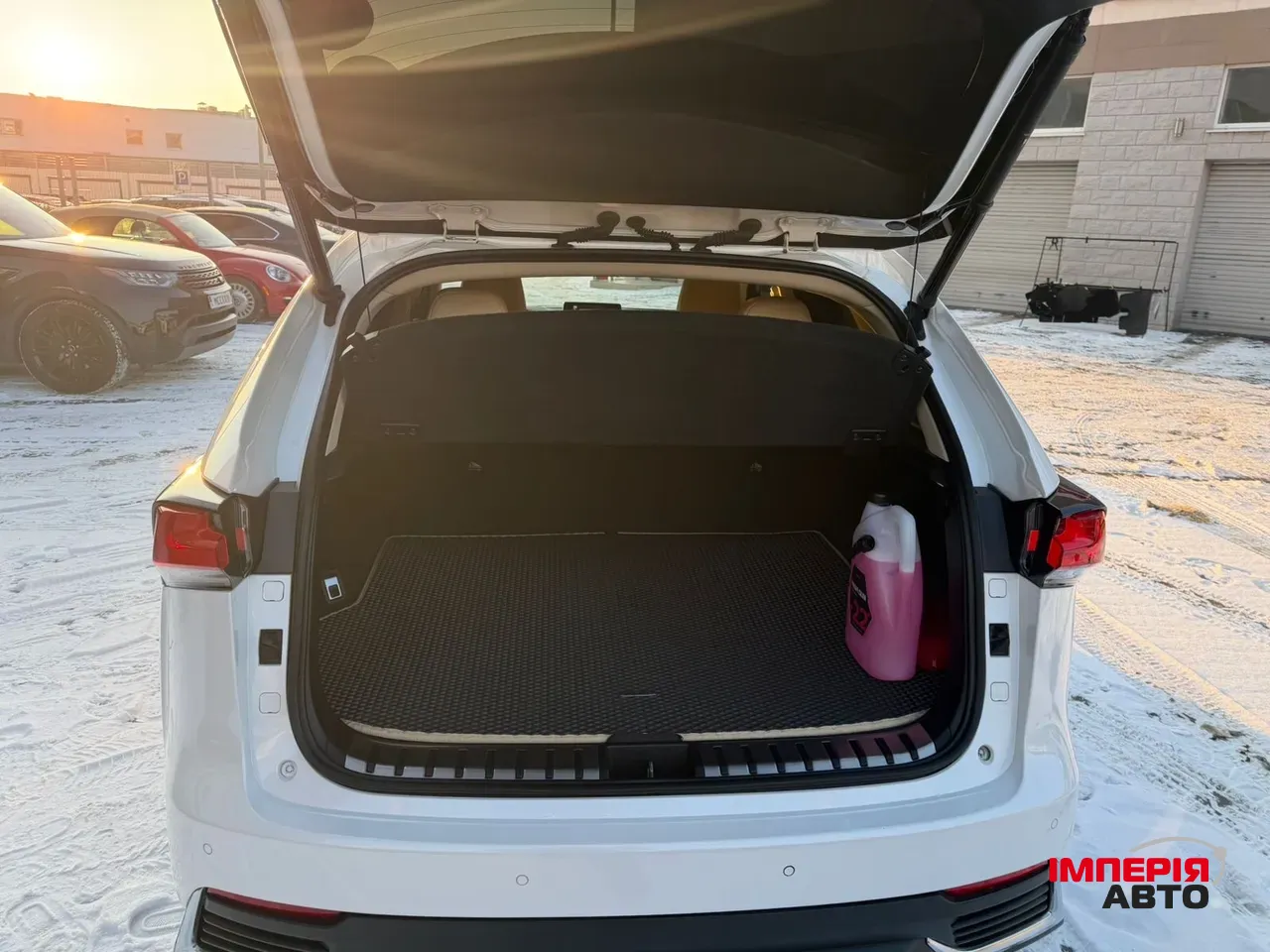 Lexus NX - фото 12