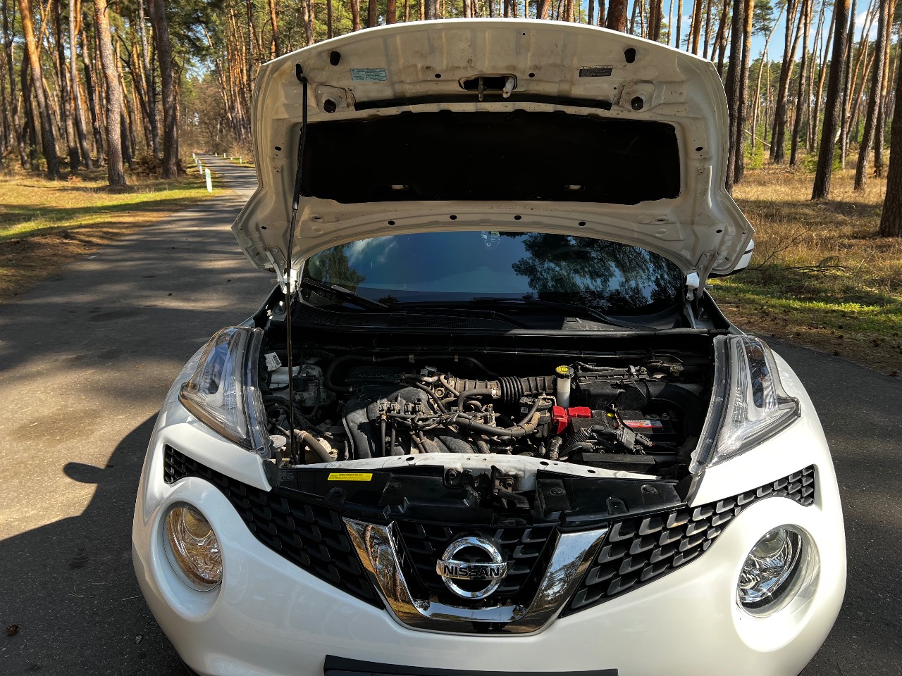 Nissan Juke - фото 15