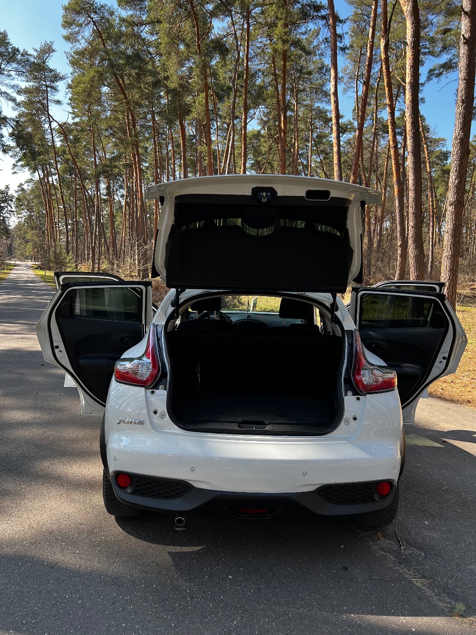 Nissan Juke - фото 8