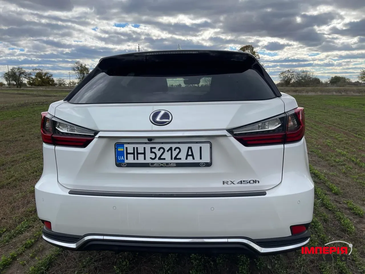 Lexus RX - фото 4