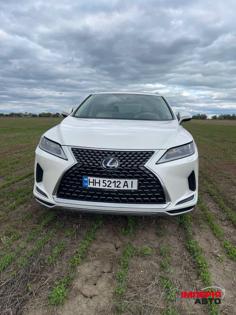 Lexus RX - фото 1