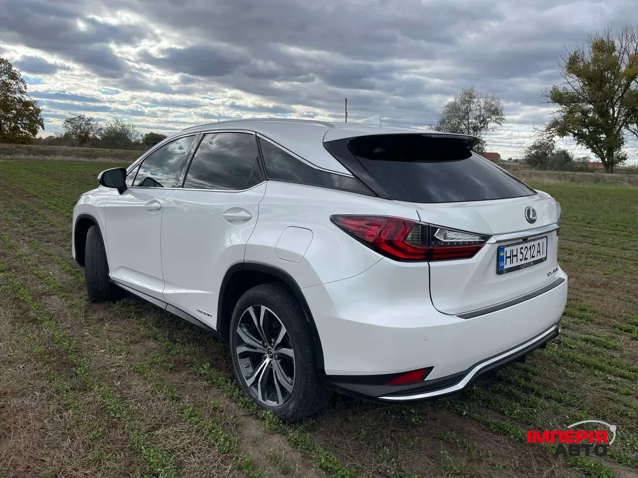 Lexus RX - фото 2