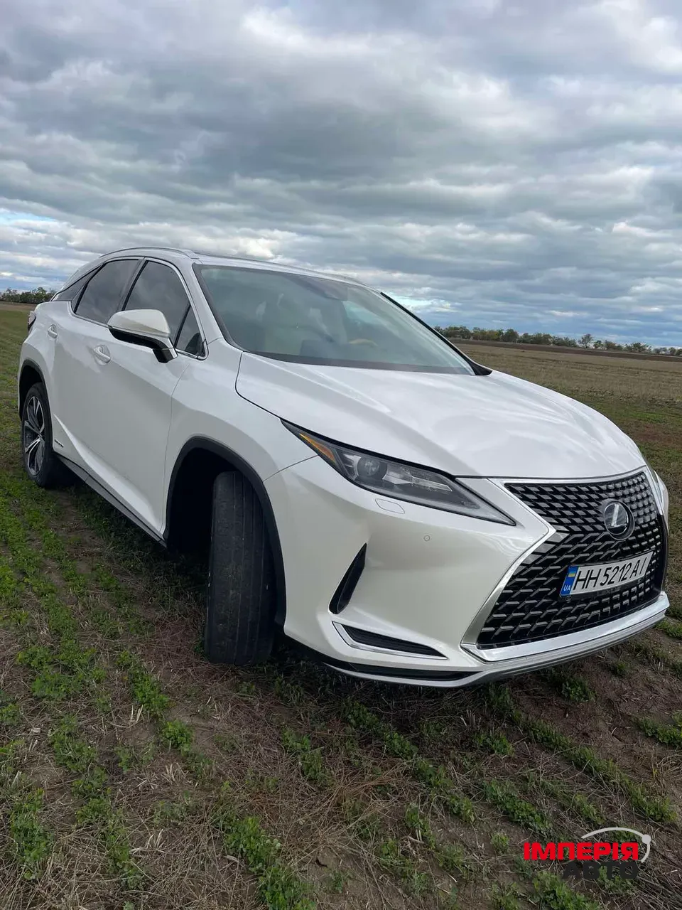 Lexus RX - фото 5