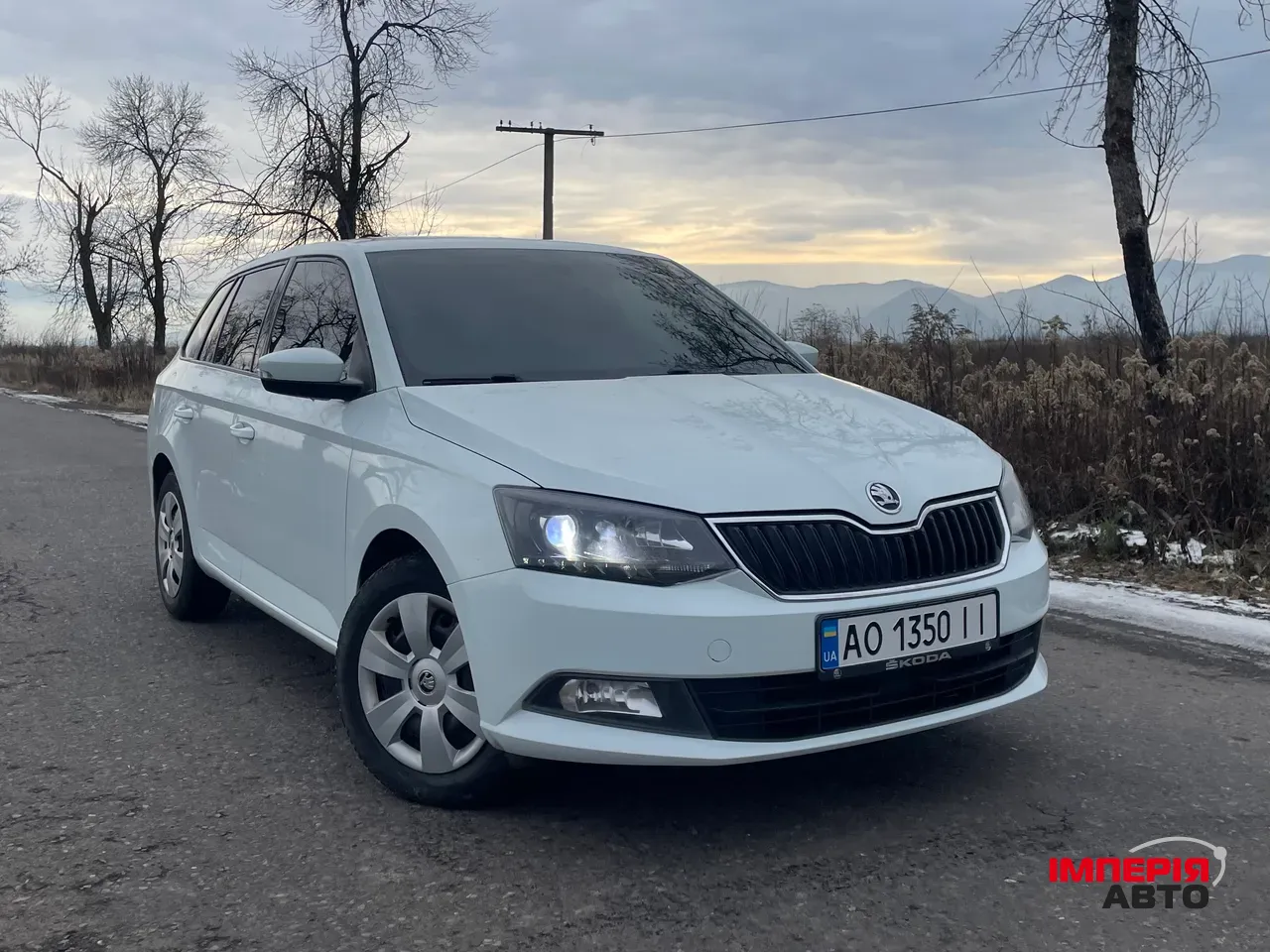 Skoda Fabia - фото 1