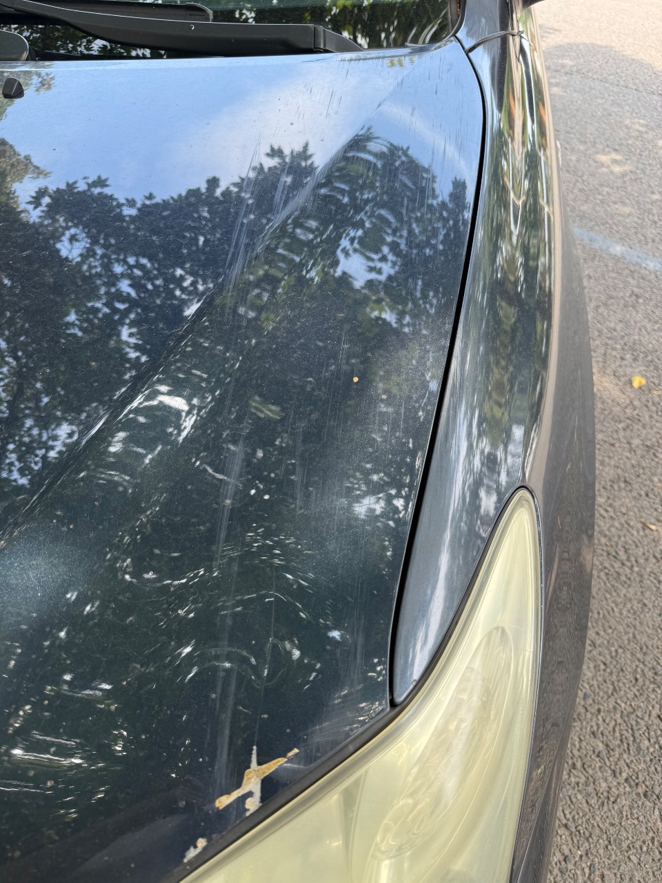 Lexus RX - фото 8