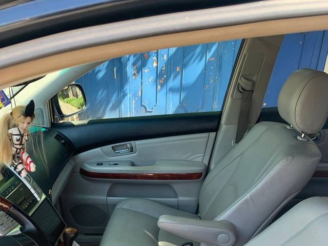 Lexus RX - фото 1