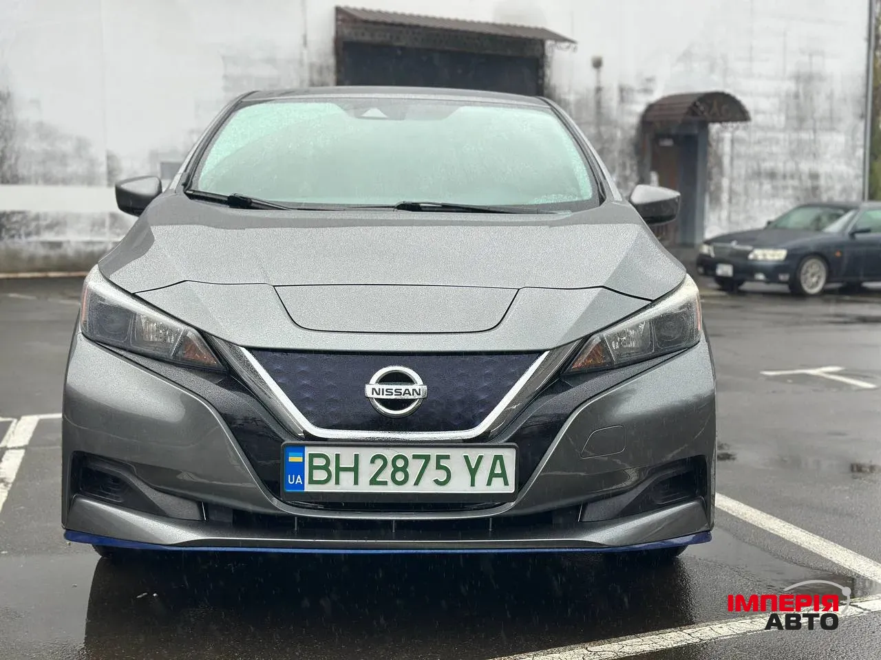 Nissan Leaf - фото 1