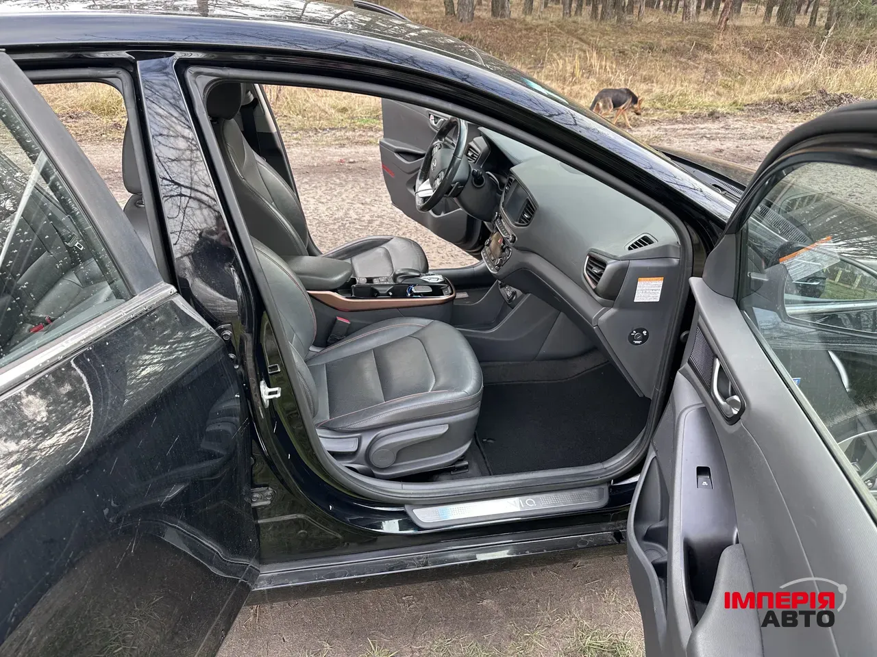 Hyundai IONIQ - фото 3