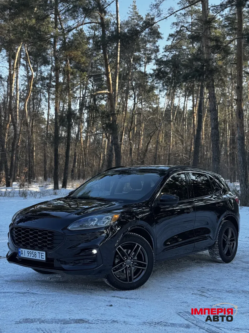 Ford Escape - фото 1