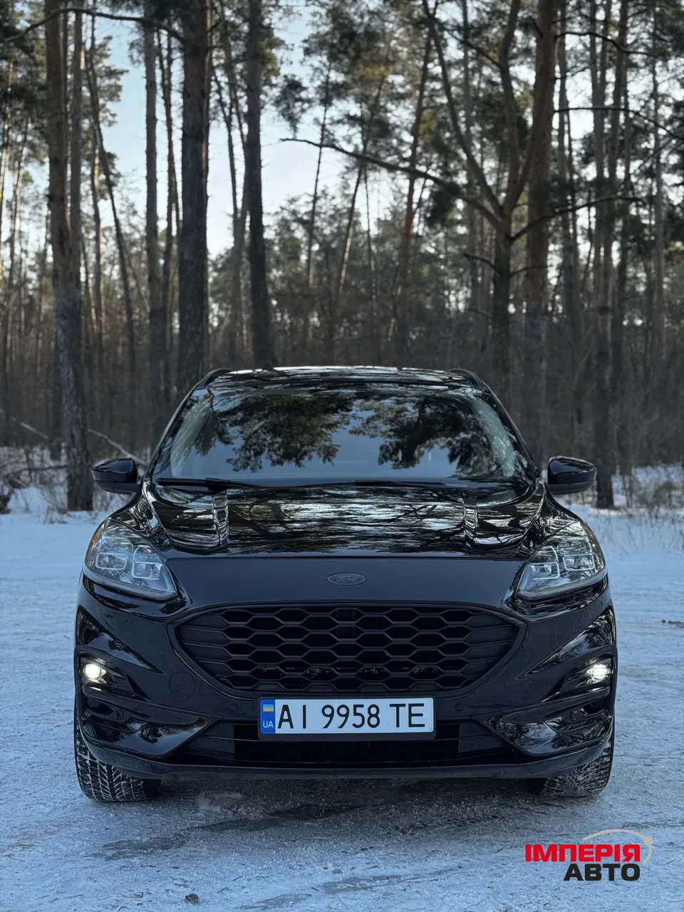 Ford Escape - фото 3