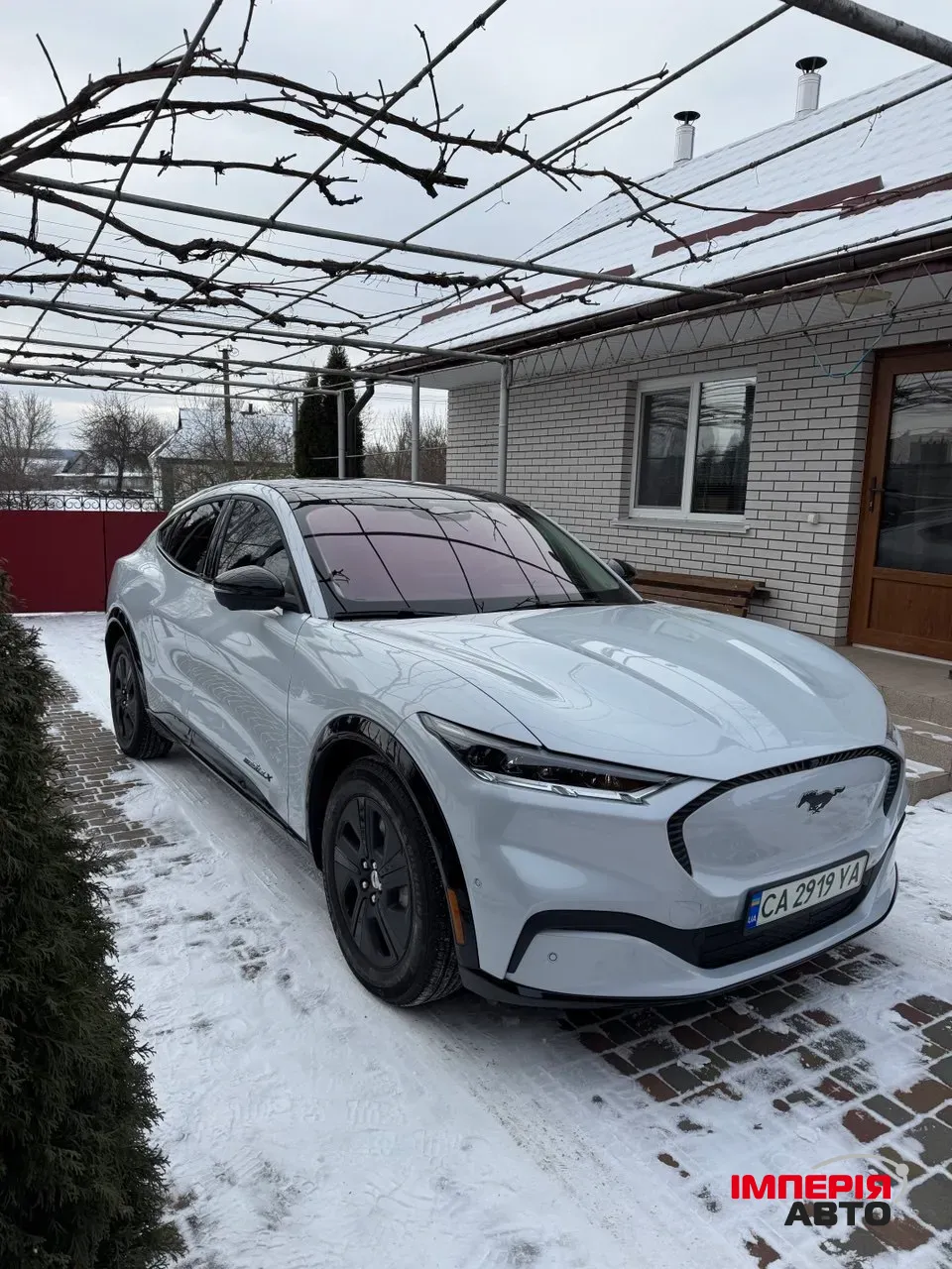 Ford Mustang Mach-E - фото 3