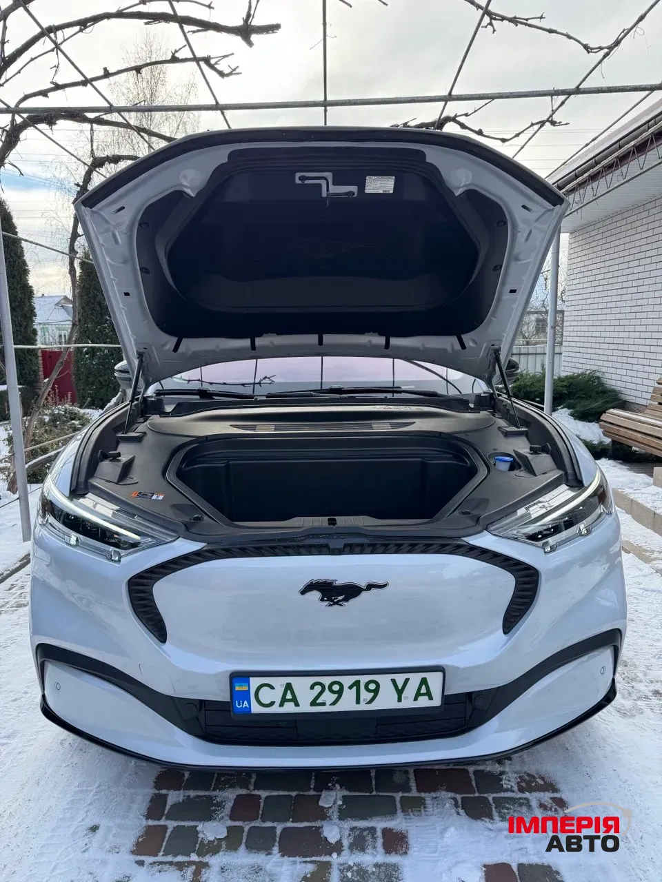Ford Mustang Mach-E - фото 13