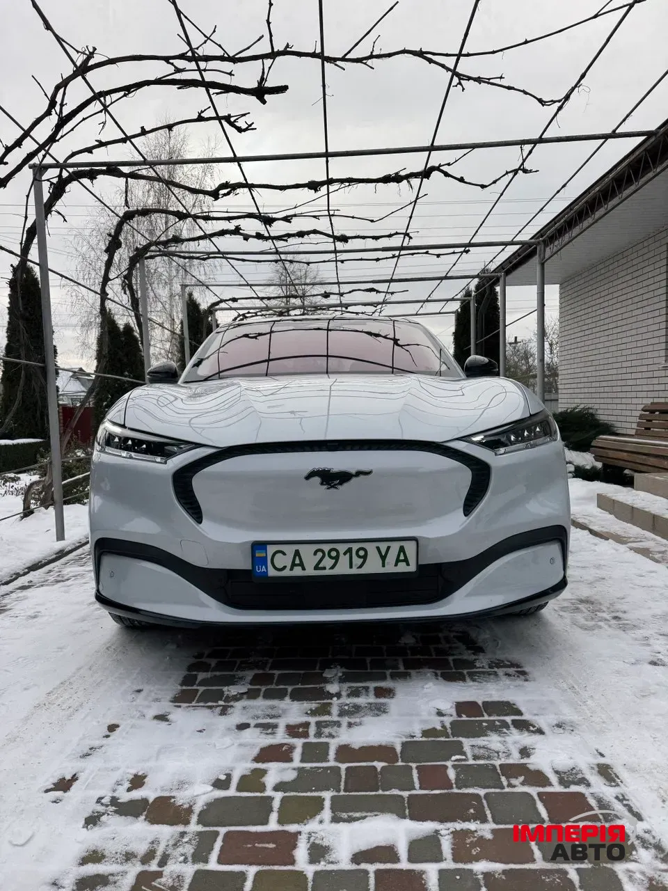 Ford Mustang Mach-E - фото 1