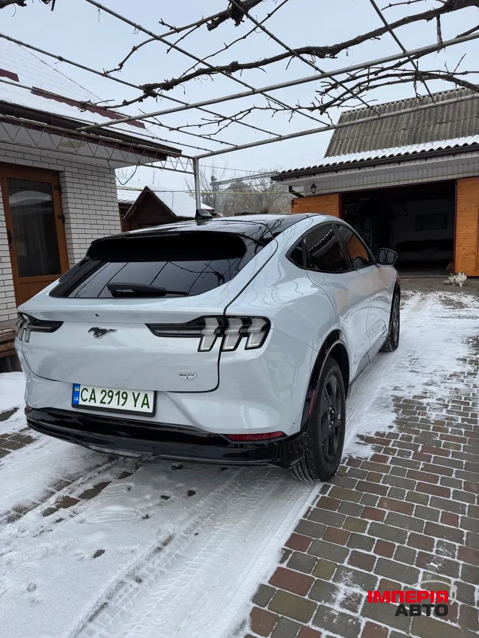 Ford Mustang Mach-E - фото 7