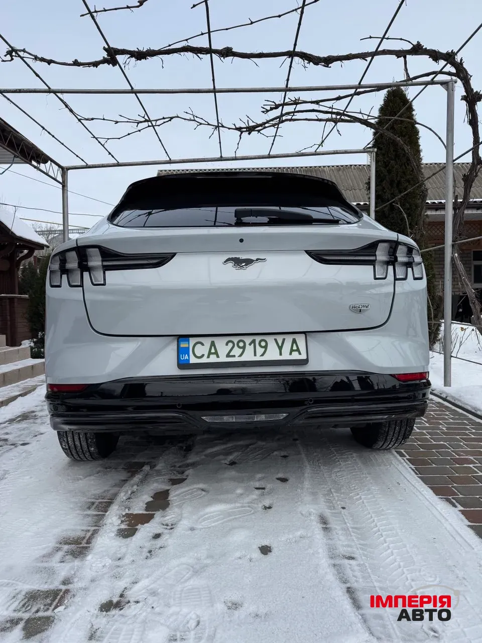 Ford Mustang Mach-E - фото 4