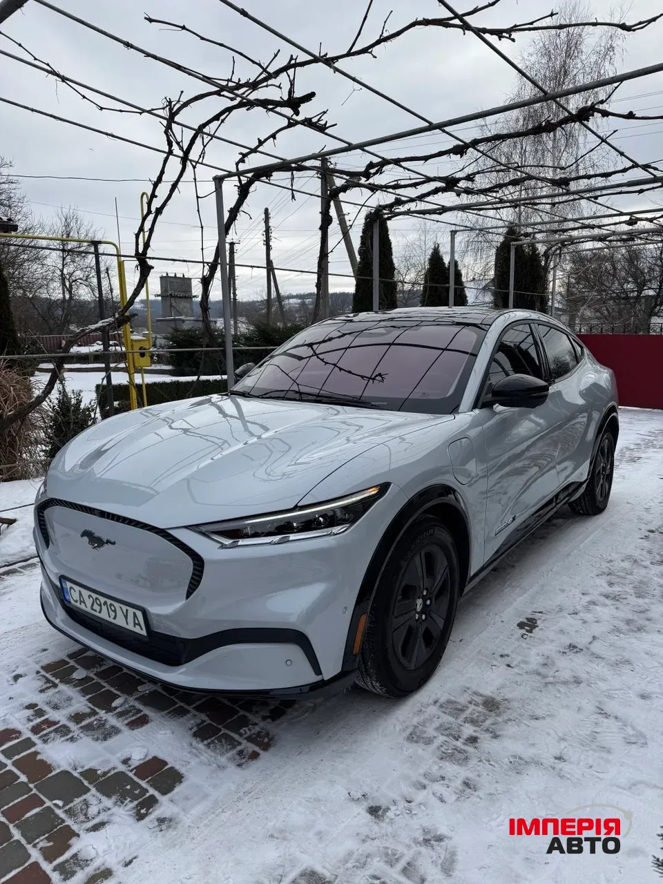 Ford Mustang Mach-E - фото 2
