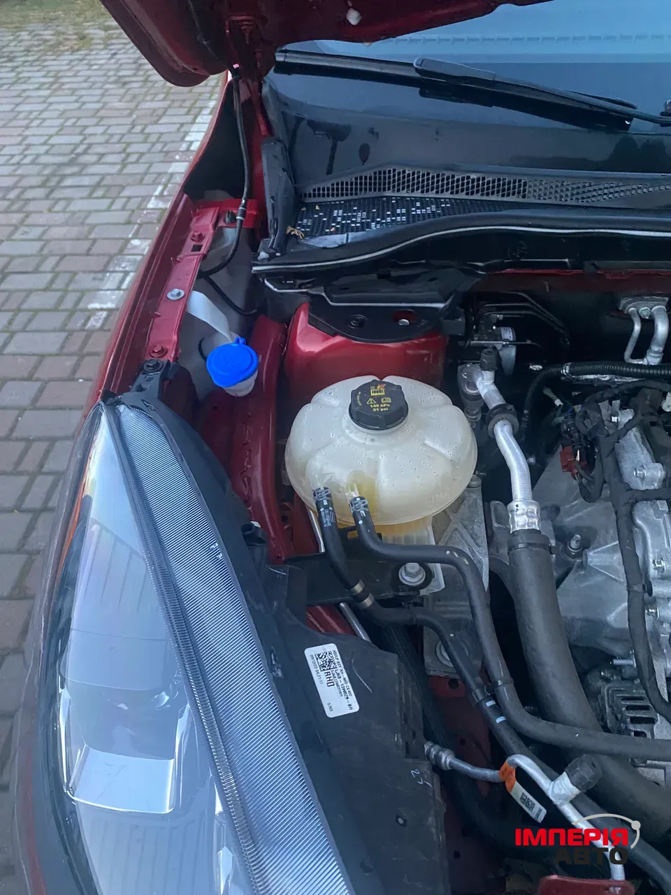 Ford Escape - фото 20