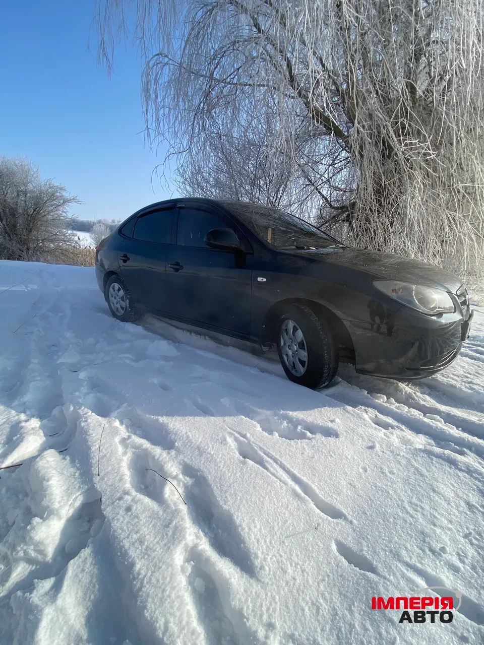 Hyundai Elantra - фото 4