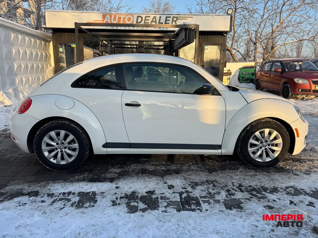 Volkswagen Beetle - фото 11