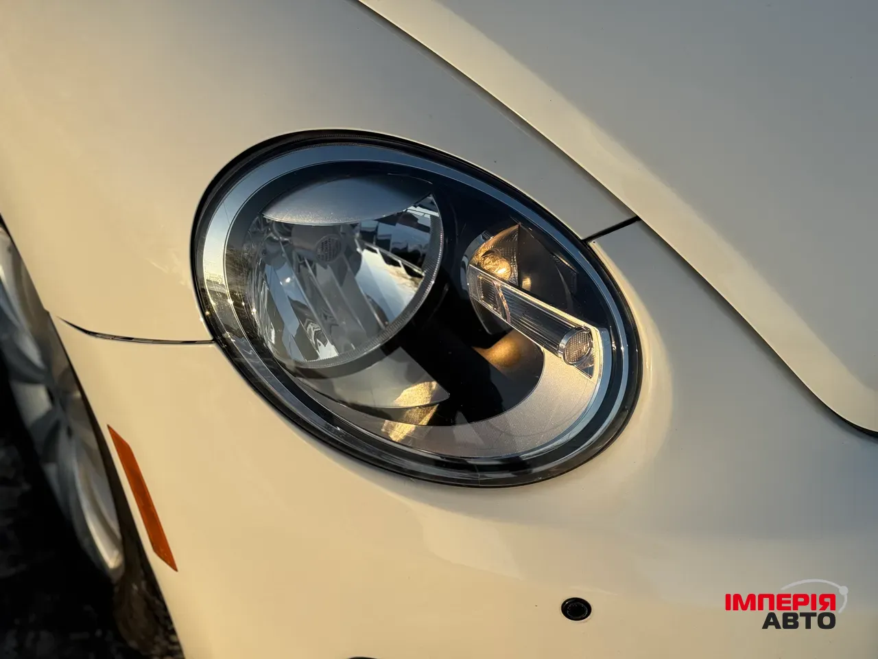 Volkswagen Beetle - фото 14