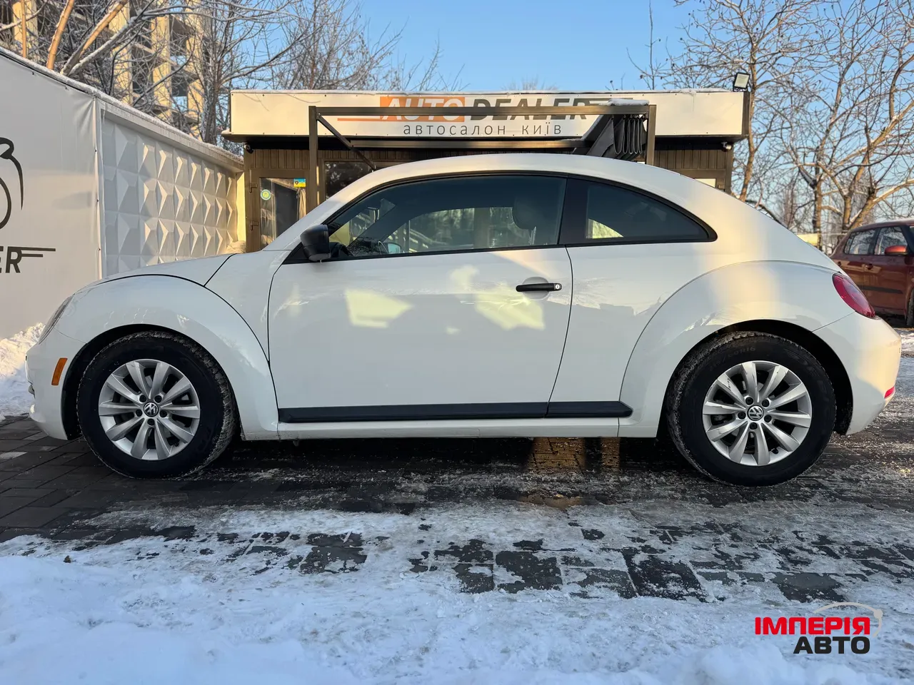 Volkswagen Beetle - фото 5
