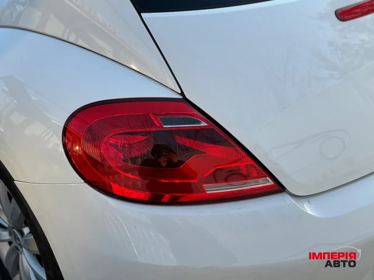 Volkswagen Beetle - фото 7