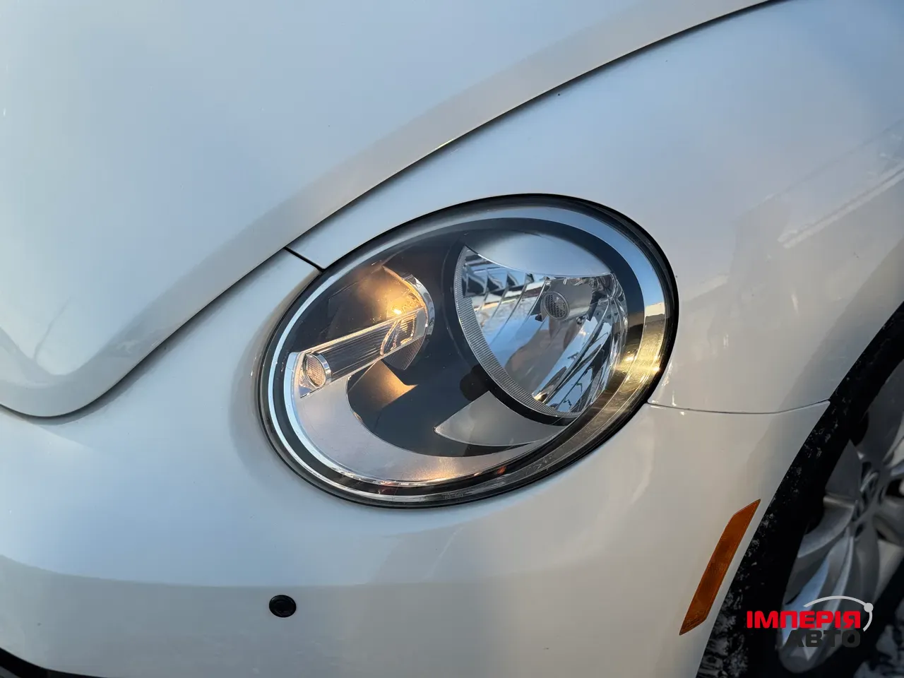 Volkswagen Beetle - фото 4